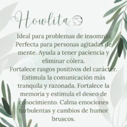 Anillo Indira · 5 Piedras -Alvent Joyas Tienda 12