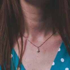 Collar Lucero 9 Collar Lucero -Alvent Joyas Tienda COLLAR ESTRELLA POLAR