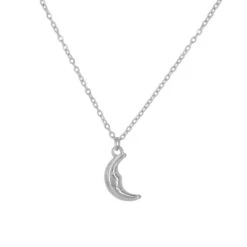 Collar Luna · Acero -Alvent Joyas Tienda COLLARLUNAPL