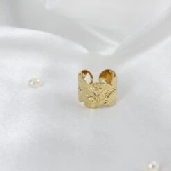 Anillo Riscco -Alvent Joyas Tienda IMG 7322